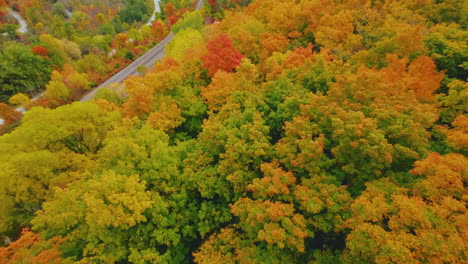 Vista-Aérea-Fpv-Volando-Sobre-Coloridas-Hojas-De-Otoño-En-La-Escarpa-De-Niagara,-Ontario,-Canadá