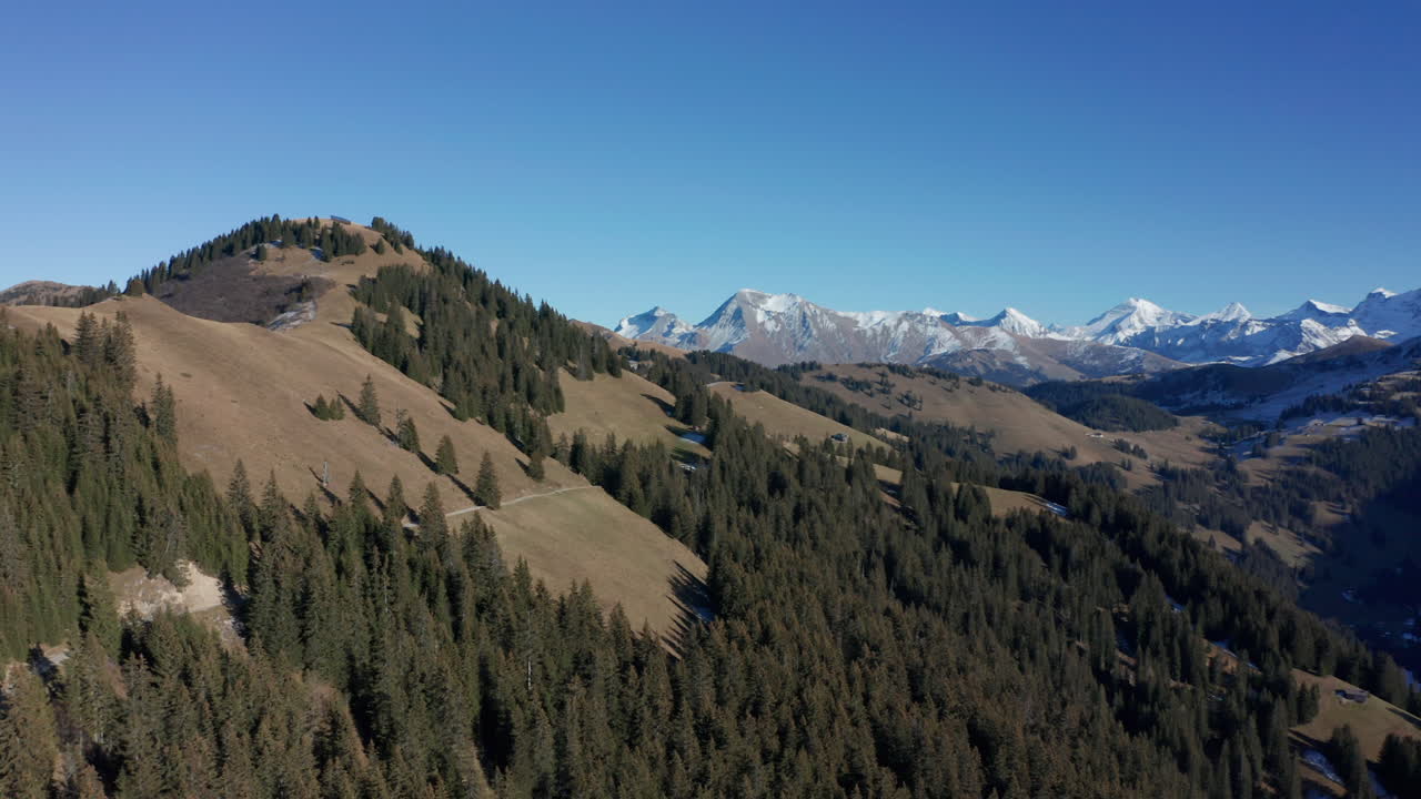 Aerial overview of beautiful green forest on Swiss hills