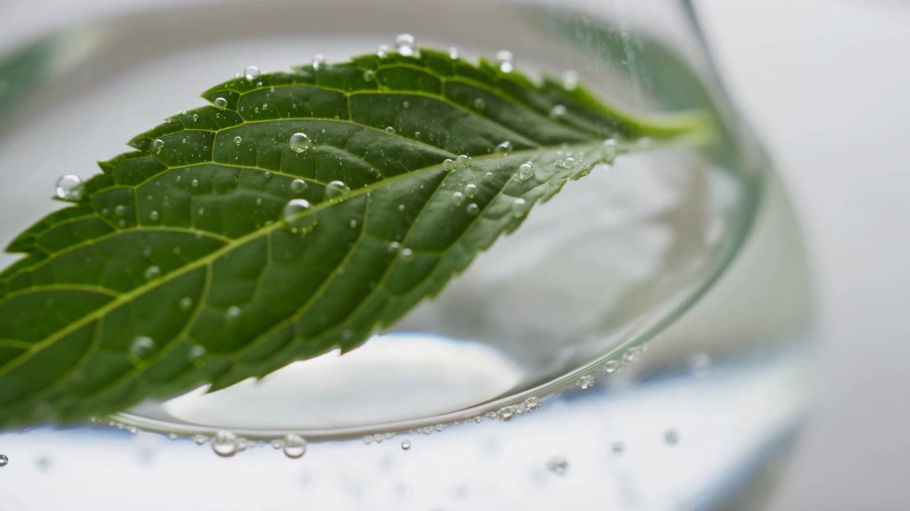 Primo piano di una foglia verde fresca che riposa all'interno di un bicchiere trasparente, coperta di goccioline d'acqua e illuminata da una soffusa luce diurna naturale con uno sfondo sfocato