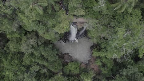 Waterfall-over-a-lush-forest