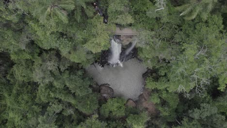 una cascada sobre un bosque exuberante