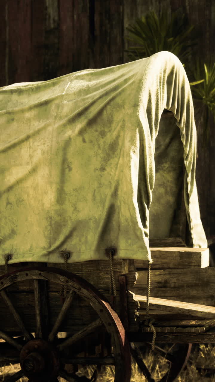 Wagon with a canvas cover beside wooden stacks in a rustic setting