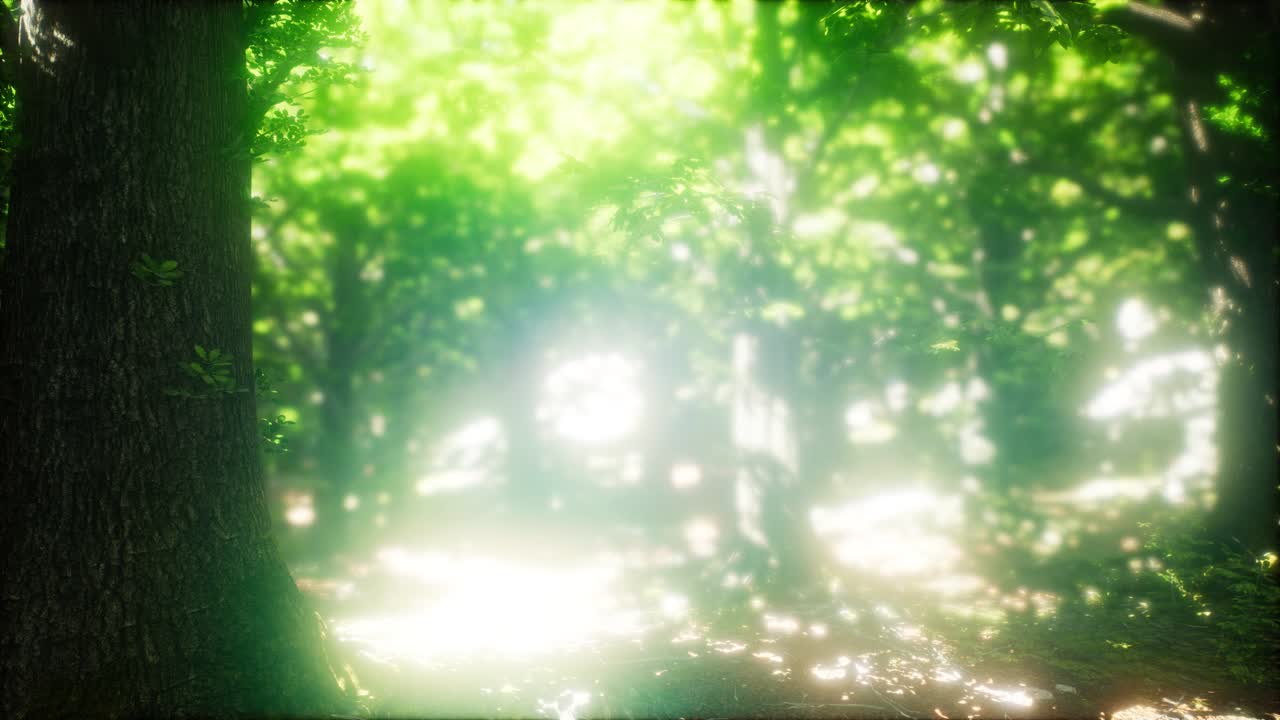 잎 으로 둘러싸인 신선 한 초록색 낙 ⁇  나무 들 의 경치 좋은 숲