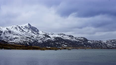 primavera polar