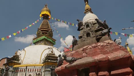 pigeon at a temple in kathmandu in nepal, pigeons and birds at famous buildings in kathmandu, old historic buildings for buddhism, close up of pigeons at a beautiful tourist site