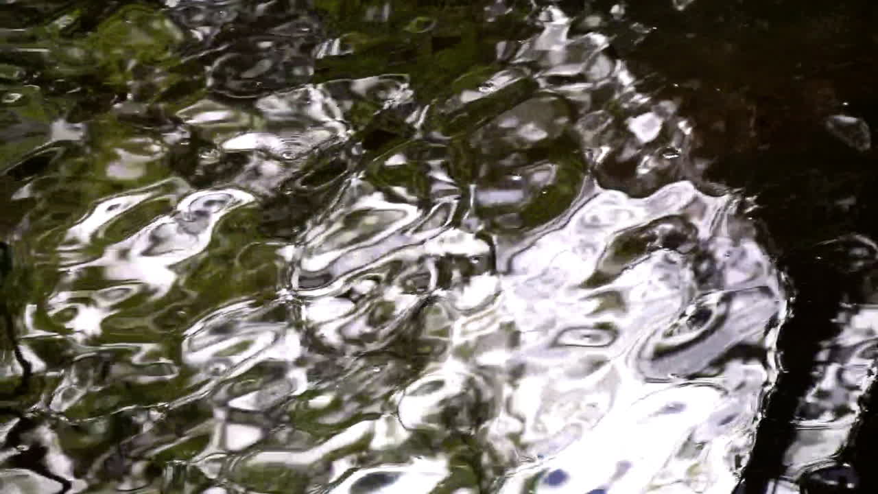 Reflections in flowing creek water move in slow motion