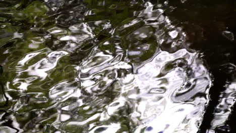 reflections in flowing creek water move in slow motion