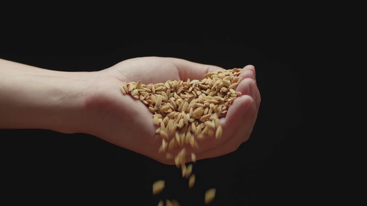 Hand Pouring Rice Grains Flies Down In Slow Motion, Black Background
