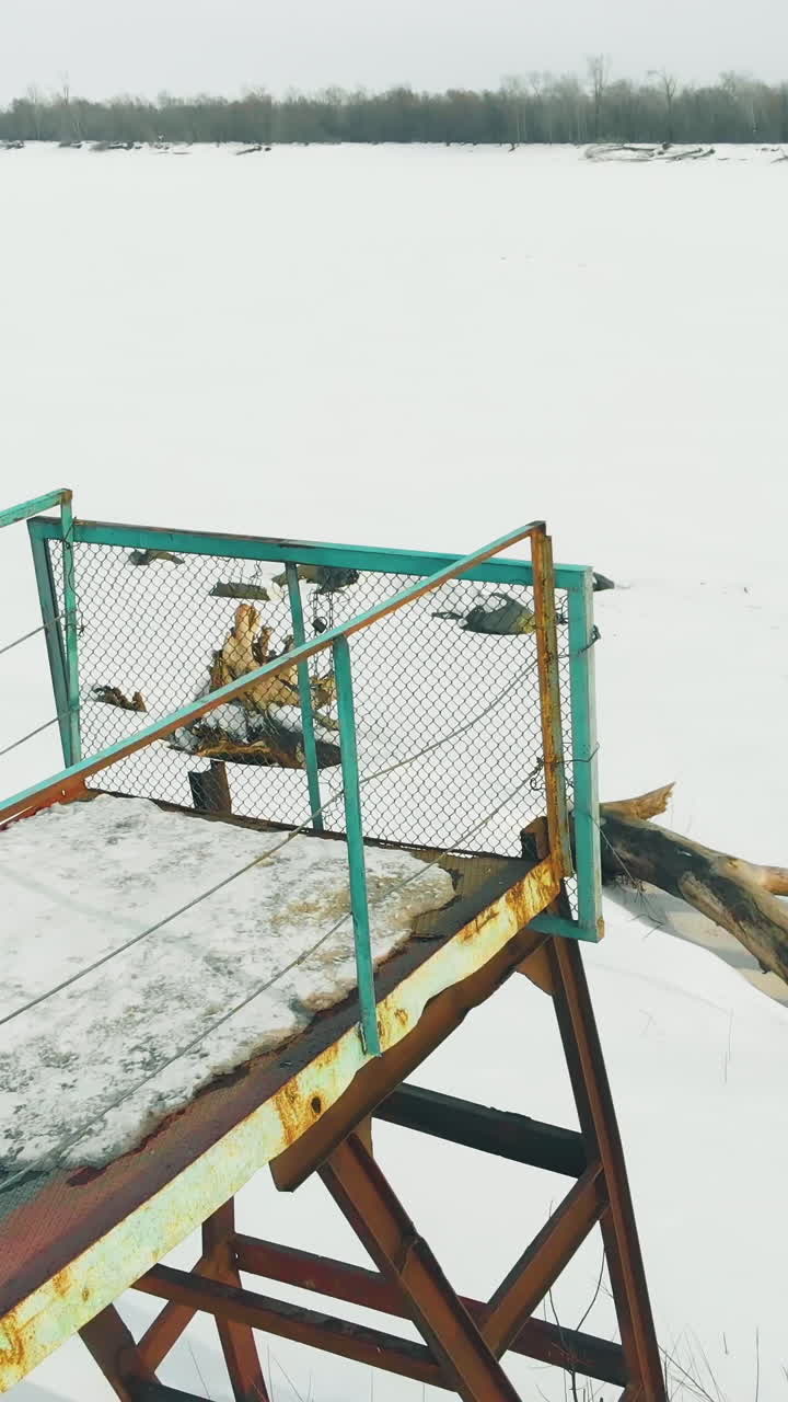 old rusty pier stands in frozen river with fallen tree in snow against dense forest on horizon aerial view