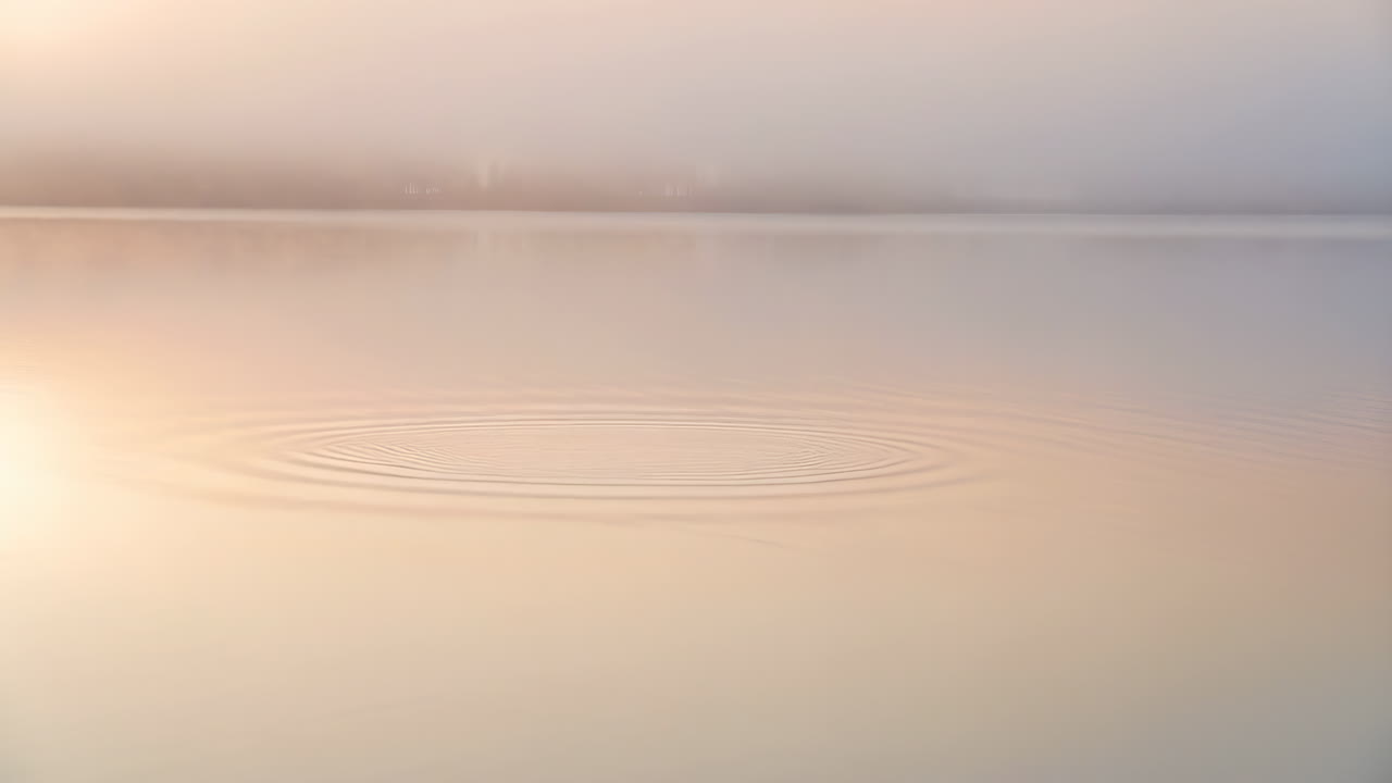 Concentric Ripples on a Misty Lake Surface at Dawn