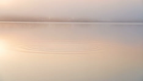 concentric ripples on a misty lake surface at dawn