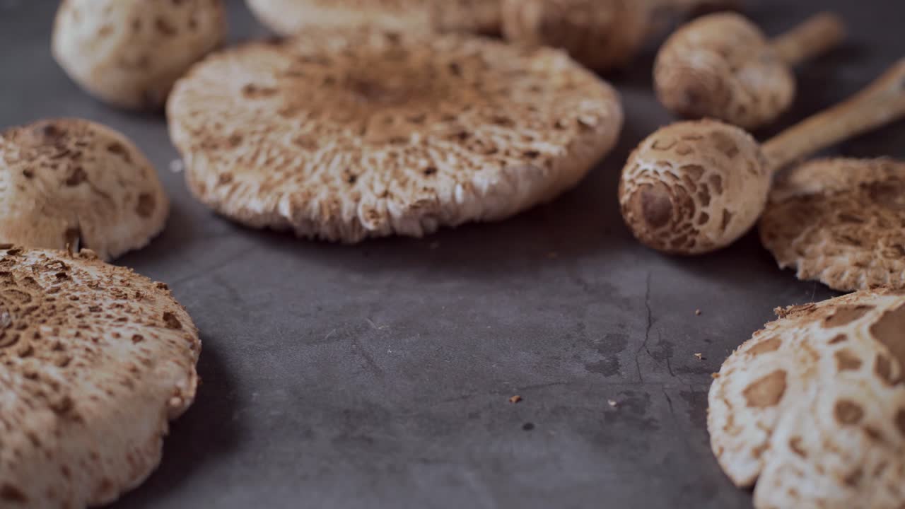recogiendo champiñones frescos macrolepiota procera de la mesa, deslizar, cerrar