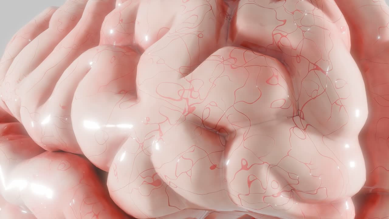 Close-up of human brain surface with blood vessels and folds. 3D anatomical render showing detailed cerebral texture. Neuroscience, biology, and medicine concept. Design for poster, wallpaper.