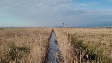 alfubera national park in alcudia