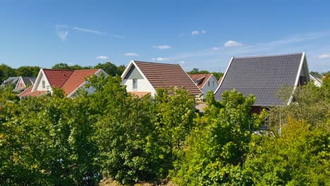 peaceful roofs and trees in luxury residential area during summer on a sunny day