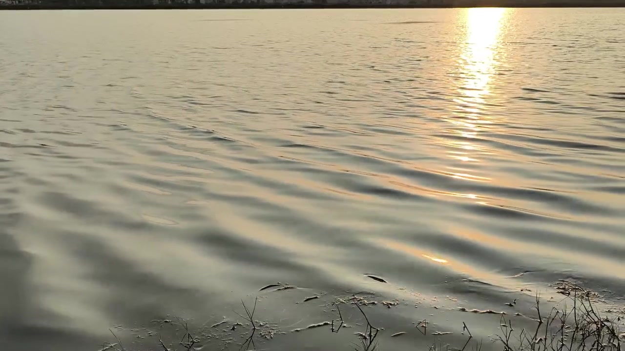 Reflejo de atardecer dorado en la superficie de un lago en calma