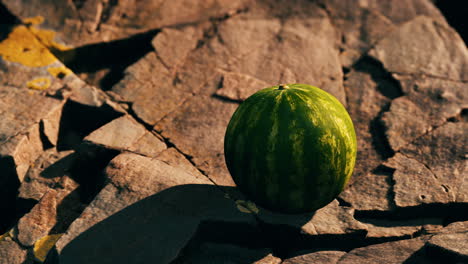 watermelon fruit berry on rocky stones