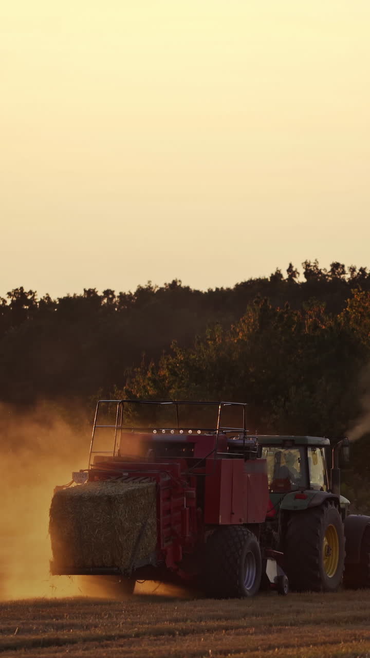 Close-up tractor baling dry grass in the evening. Agricultural machine pressing hay into square bale on the field at sunset. Vertical video