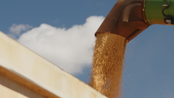 Harvester unloading soybeans into truck after harvest