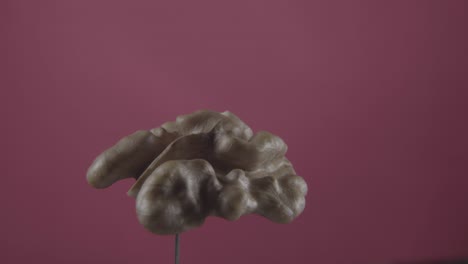 nuez girando con bucle en la pantalla de fucsia para la llave de croma