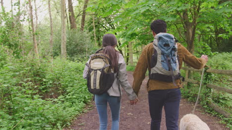 rear view of young couple holding hands as they hike along path through trees in countryside with pet golden retriever dog on leash - shot in slow motion