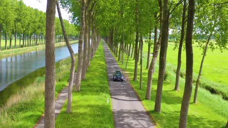 Vista-Aérea-through-treetops-of-a-car-conduciendo-along-a-canal-in-Belgium-Holland-Netherlands-or-Europe-2