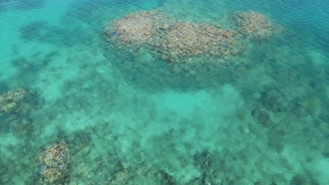 flying low over a stunning coloured reef ecosystem surrounded by clear blue ocean water