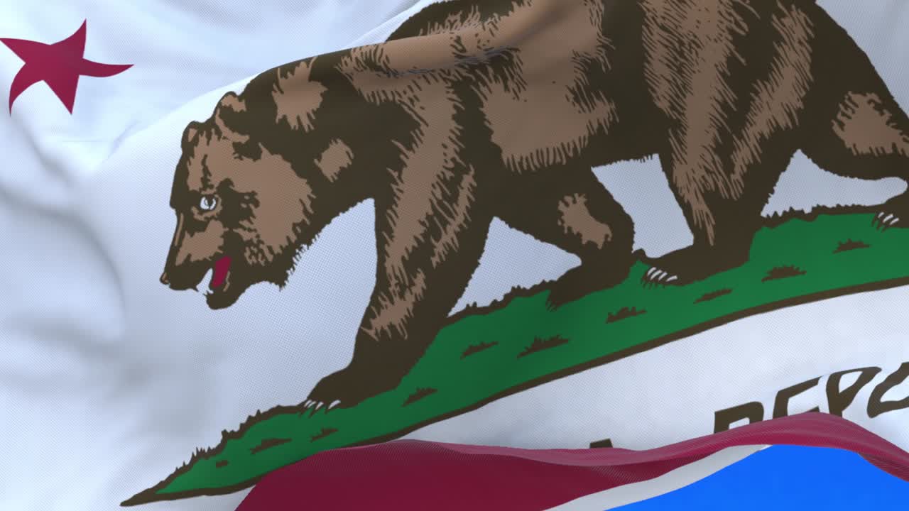 캘리포니아 공화국 국기.