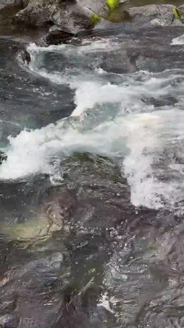 Acqua limpida che scorre sopra rocce scure del fiume