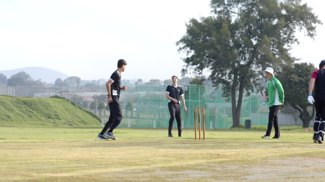 Playing cricket outdoors, group of men enjoying game on sunny day