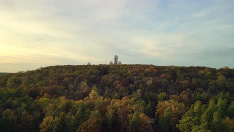 Herbstwald-Abendwald