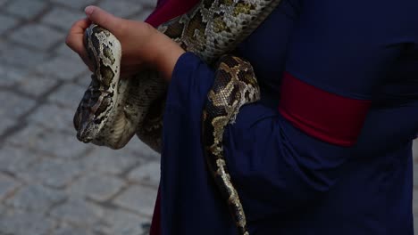 woman dressed in medievel cloths holding a pet python snake