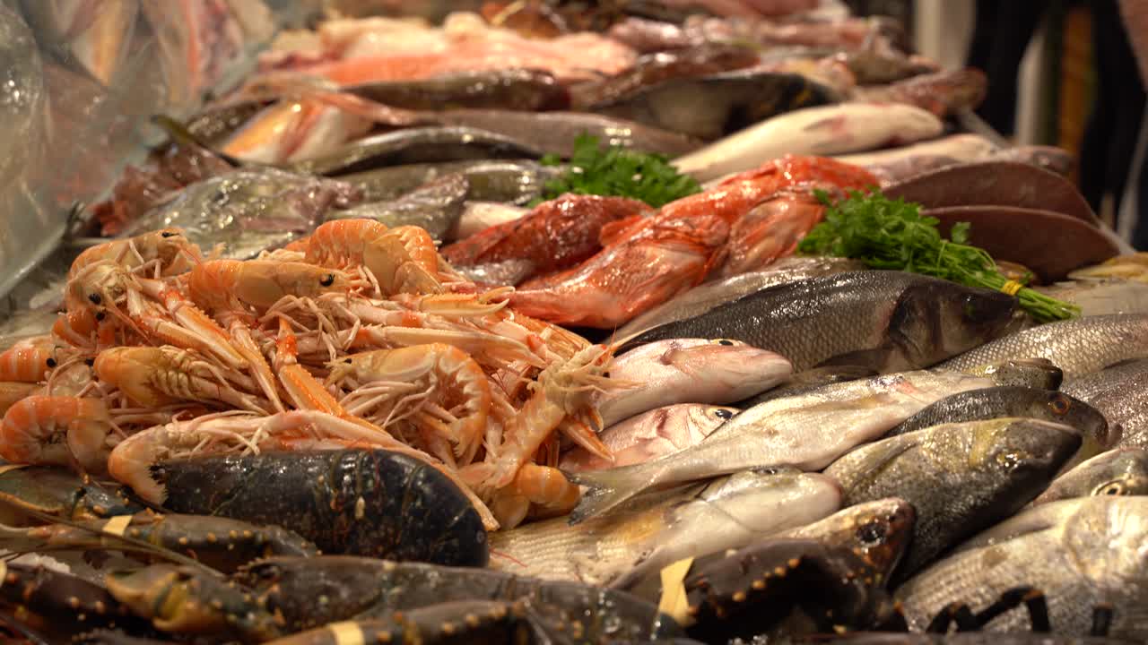 A fresh seafood in the market in Croatia