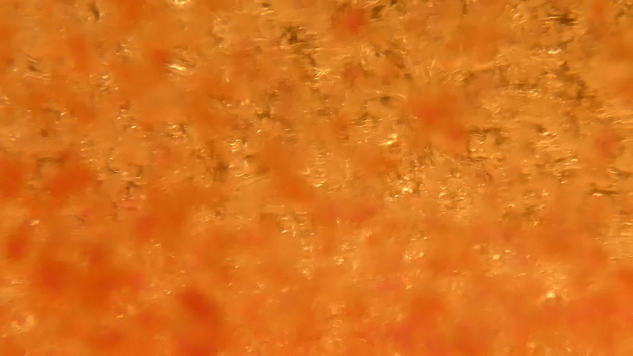 burbujas de aceite de coral de ensueño