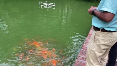 un hombre de vestido azul está alimentando hermosos peces de colores en el estanque