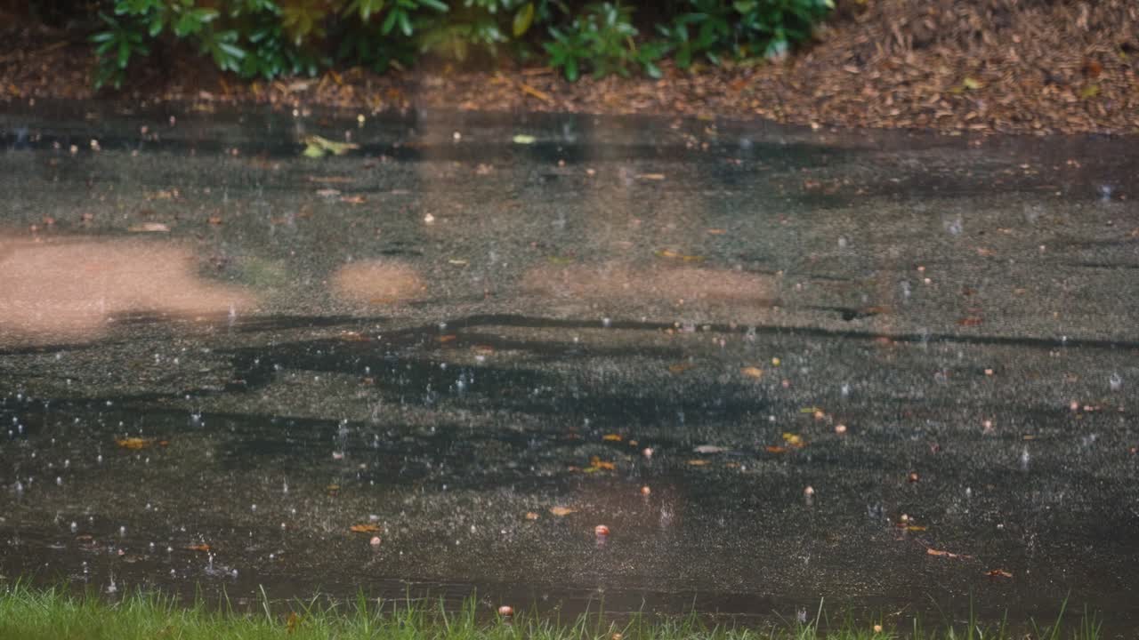 Front window view of heavy drops of rain on the driveway.