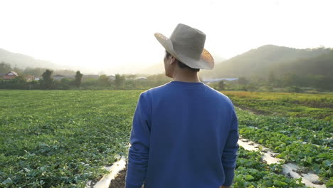 farmer walking in field with sunset
