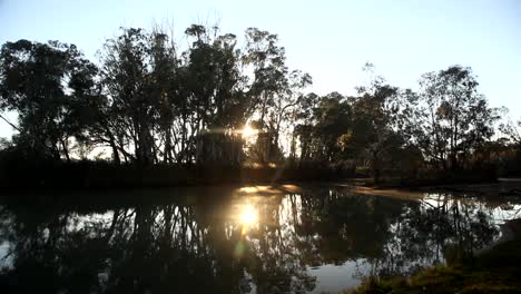 Sonnenaufgang-über-Einem-Bach-Am-Murray-River---Loxton,-Südaustralien