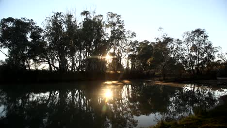 amanecer sobre un arroyo en el río murray - loxton, sur de australia