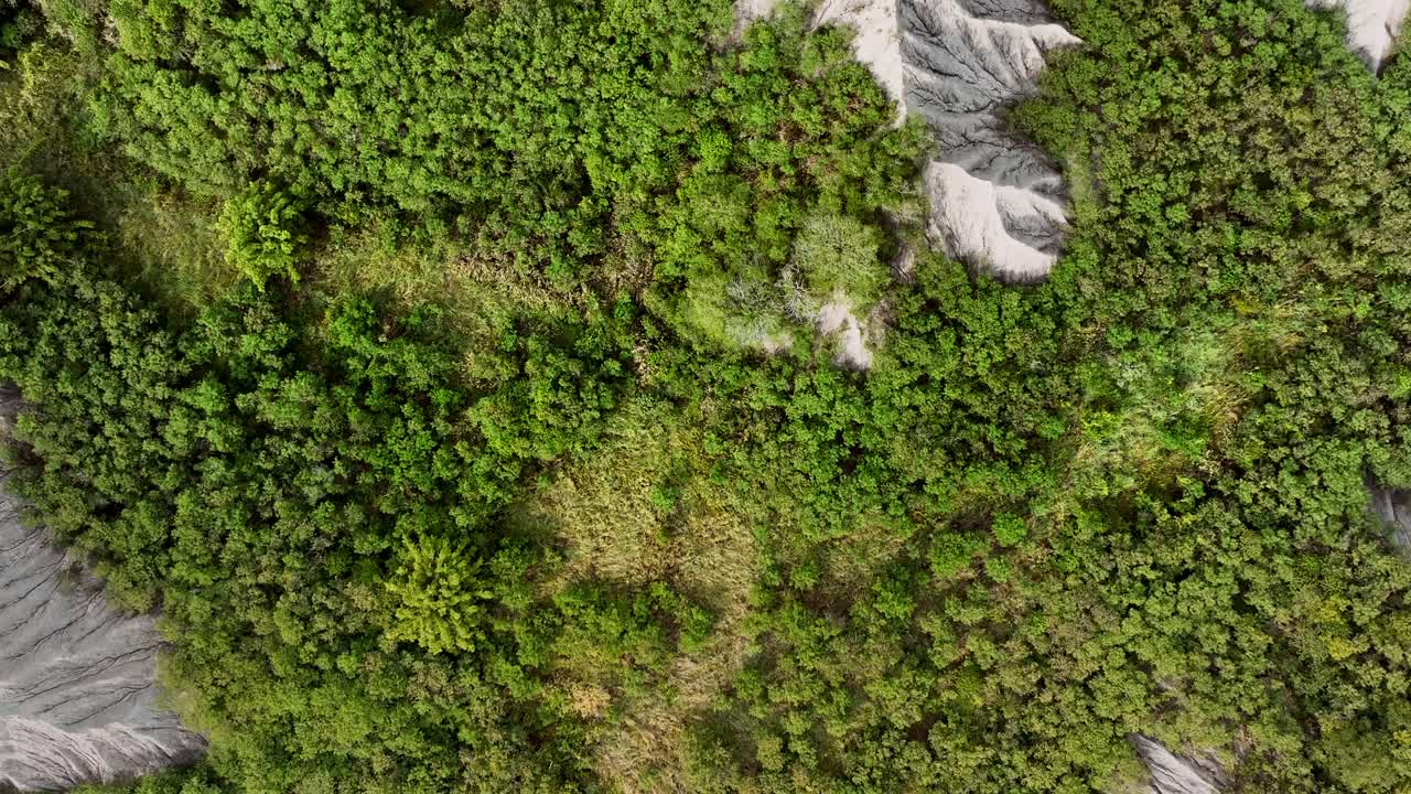 vuelo aéreo de arriba hacia abajo sobre el paisaje lunar vegetado con montañas lunares en taiwán en un día soleado