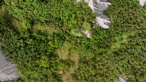 Aerial-top-down-flight-over-vegetated-lunar-landscape-with-moonscape-mountains-in-Taiwan-at-sunny-day