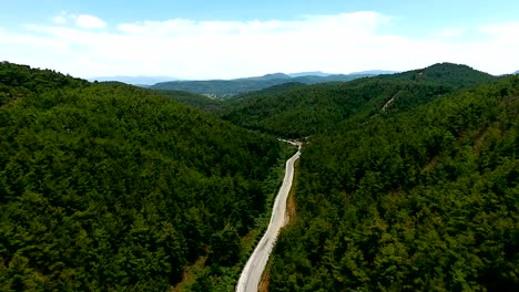 aerial view beautiful forest and road move left. 4k