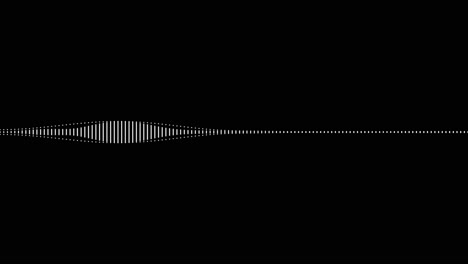 Weiß-Auf-Schwarz-Audio-Spektrum-Visualisierungseffekt-1