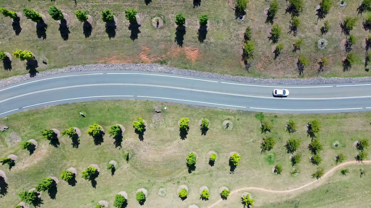 Drone aerial landscape of white car vehicle travelling along rural highway winding road with trees in grassy valley National Arboretum Botanical Gardens Canberra ACT Australia tourism transport