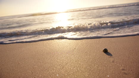 a single stone rests on a sandy beach with waves in the background, with copy space