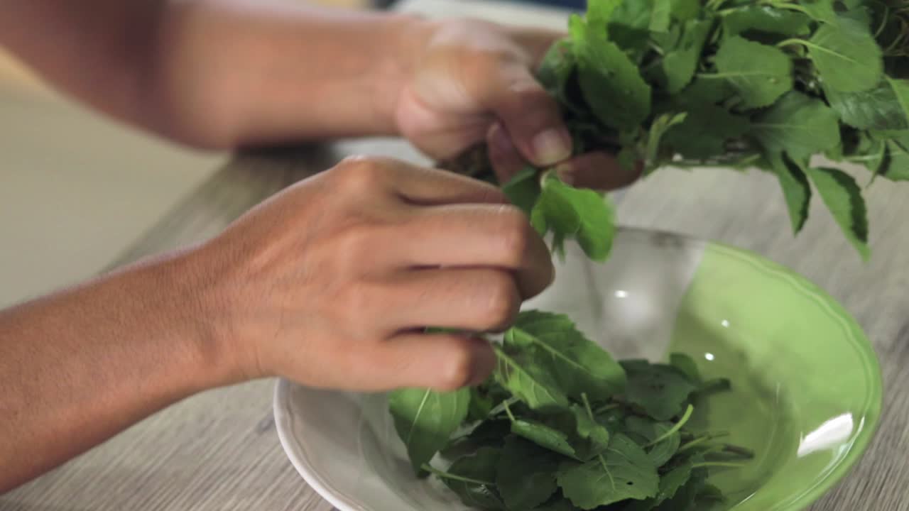 la mujer tailandesa está rasgando hojas de albahaca verde y poniéndolas en un plato, preparándose para la receta de pollo frito picante con hojas de albahaca
