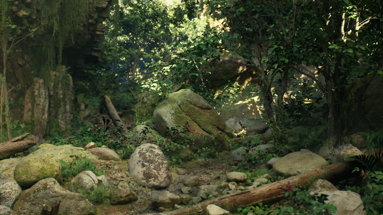 밀집한 열대 열대 우림