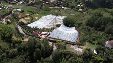 Aerial-View-of-Agricultural-Fields-in-Countryside-of-Colombia