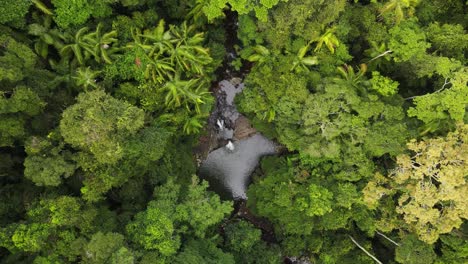 secret natural swimming hole hidden deep in a lush tropical jungle scenery