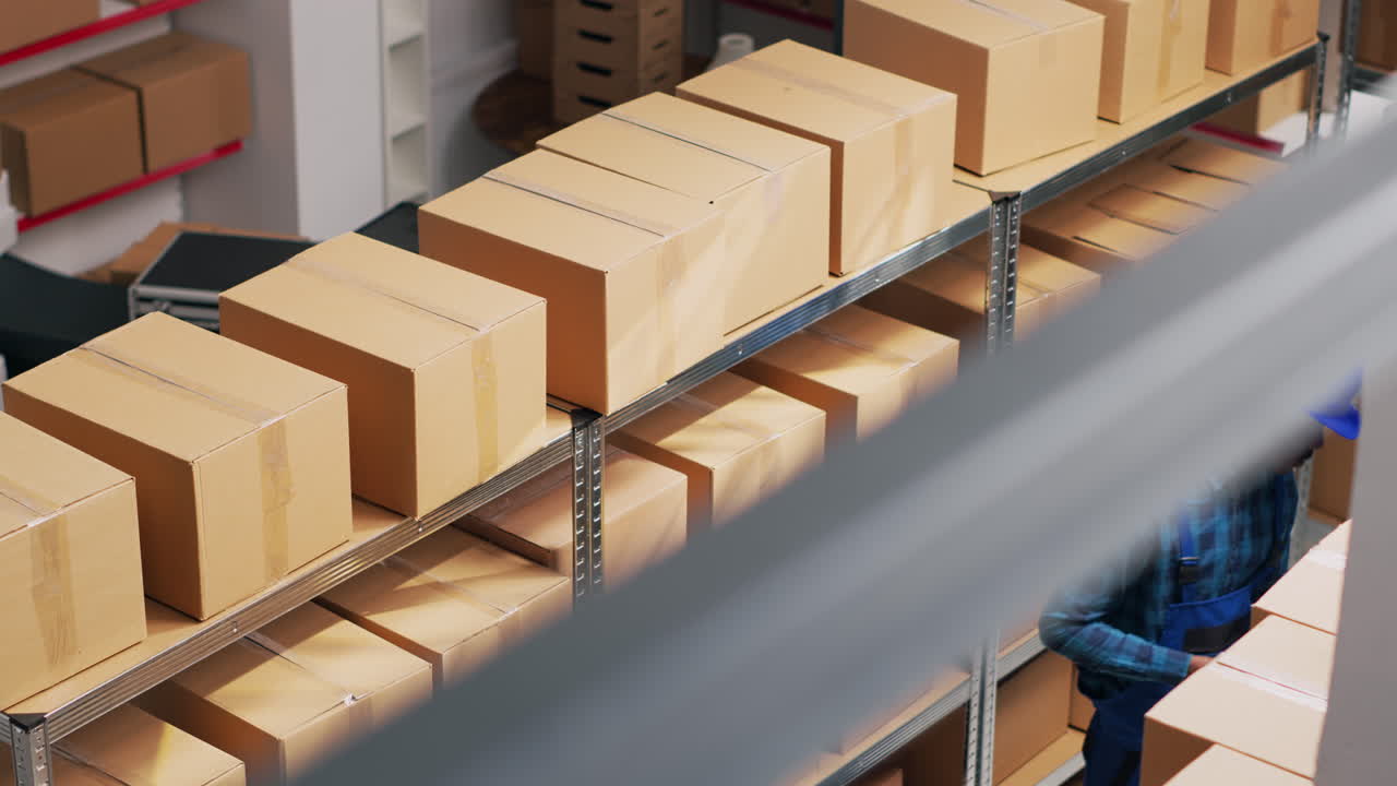 Warehouse with Workers and Boxes on Shelves